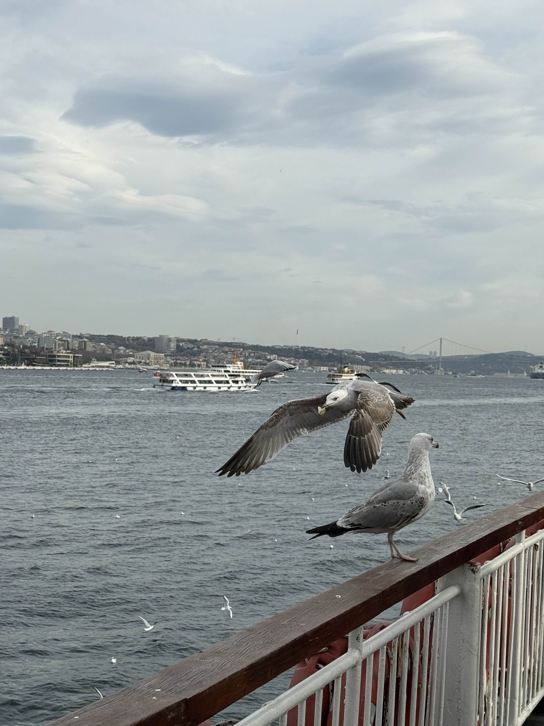 Мы очень рады, что решили взять именно эту экскурсию. Наш гид Назгуль - очень приятная, эрудированная