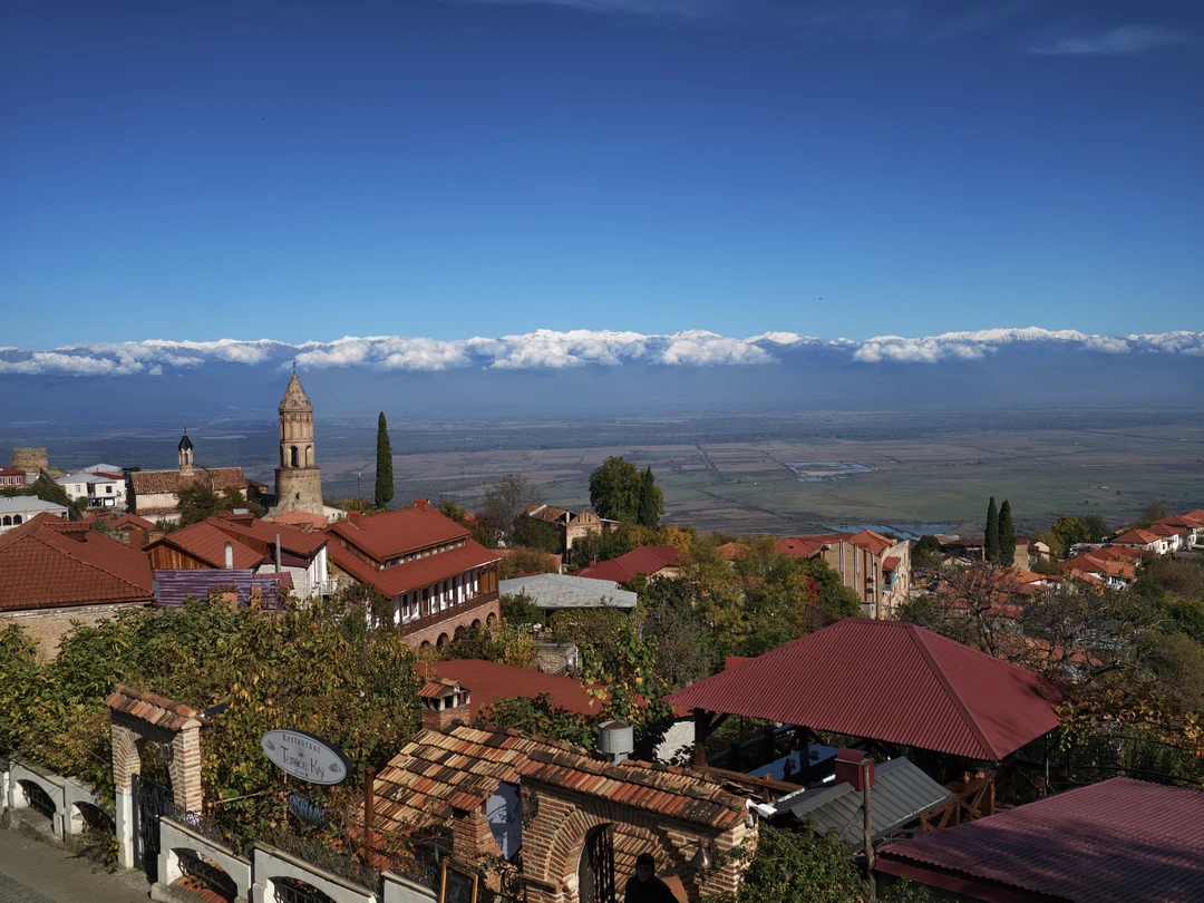 Групповая поездка в Кахетию: Бодбе, Сигнахи и Цинандали (Александра)