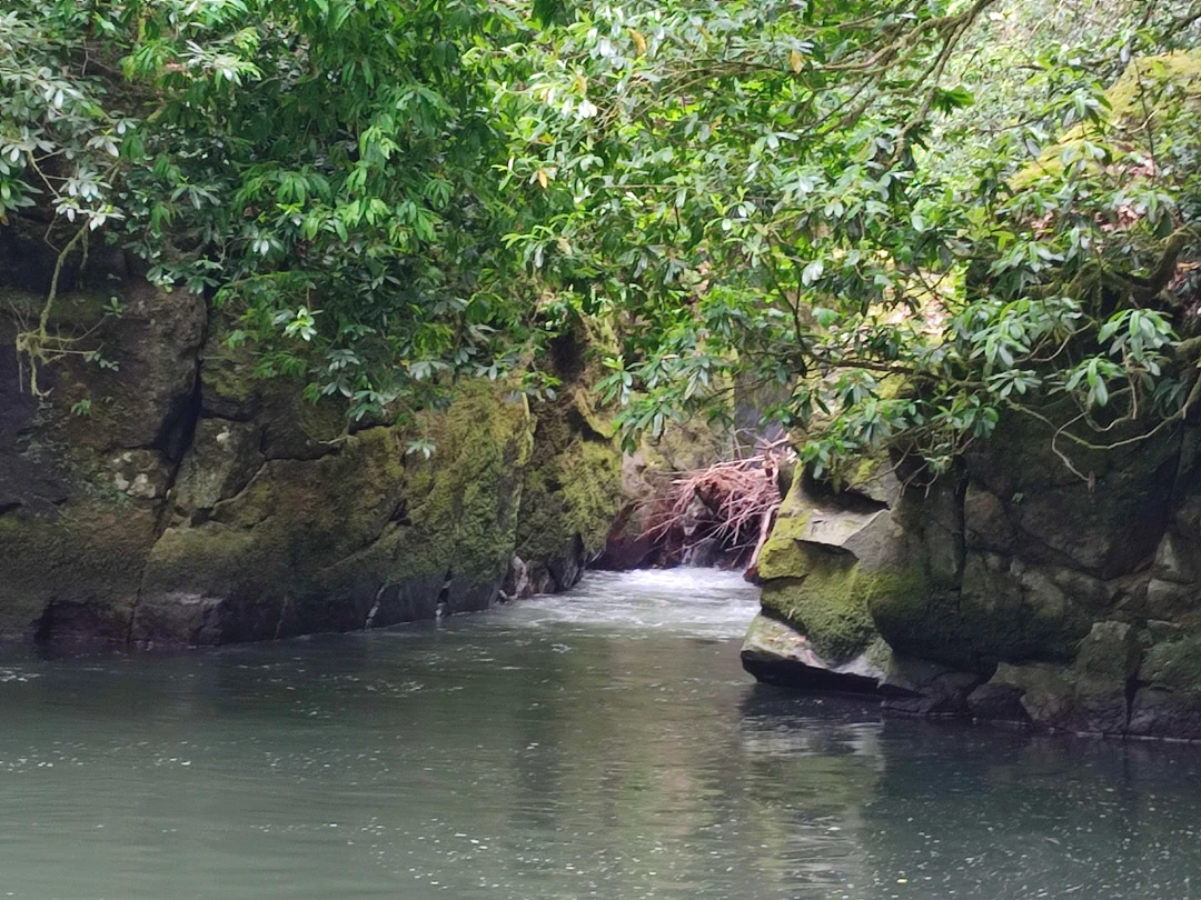 Благодаря Федору мы с дочерью провели замечательный день в Грузии. Каждое место, которое мы посетили, особенное