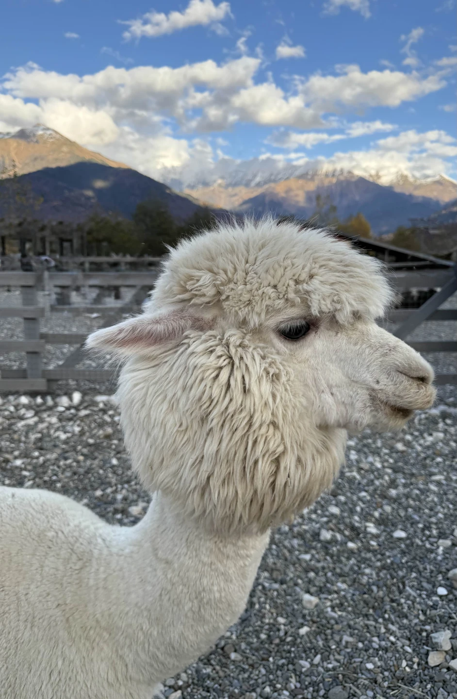 Отличная экскурсия,Наталья учла пожелания всей семьи,увлекательно и подробно рассказала о достопримечательностях Красной Поляны, чётко объяснила, чем