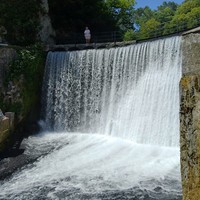 reviews img
