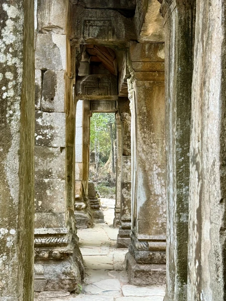 На наш искушенный взгляд путешественников это было одним из лучших приемов