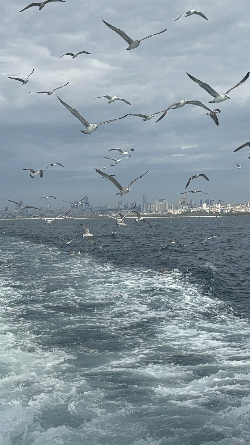 Хотим сказать огромное спасибо Даши! Очень интересно было слушать,узнавать что то новое,да и просто болтать! А