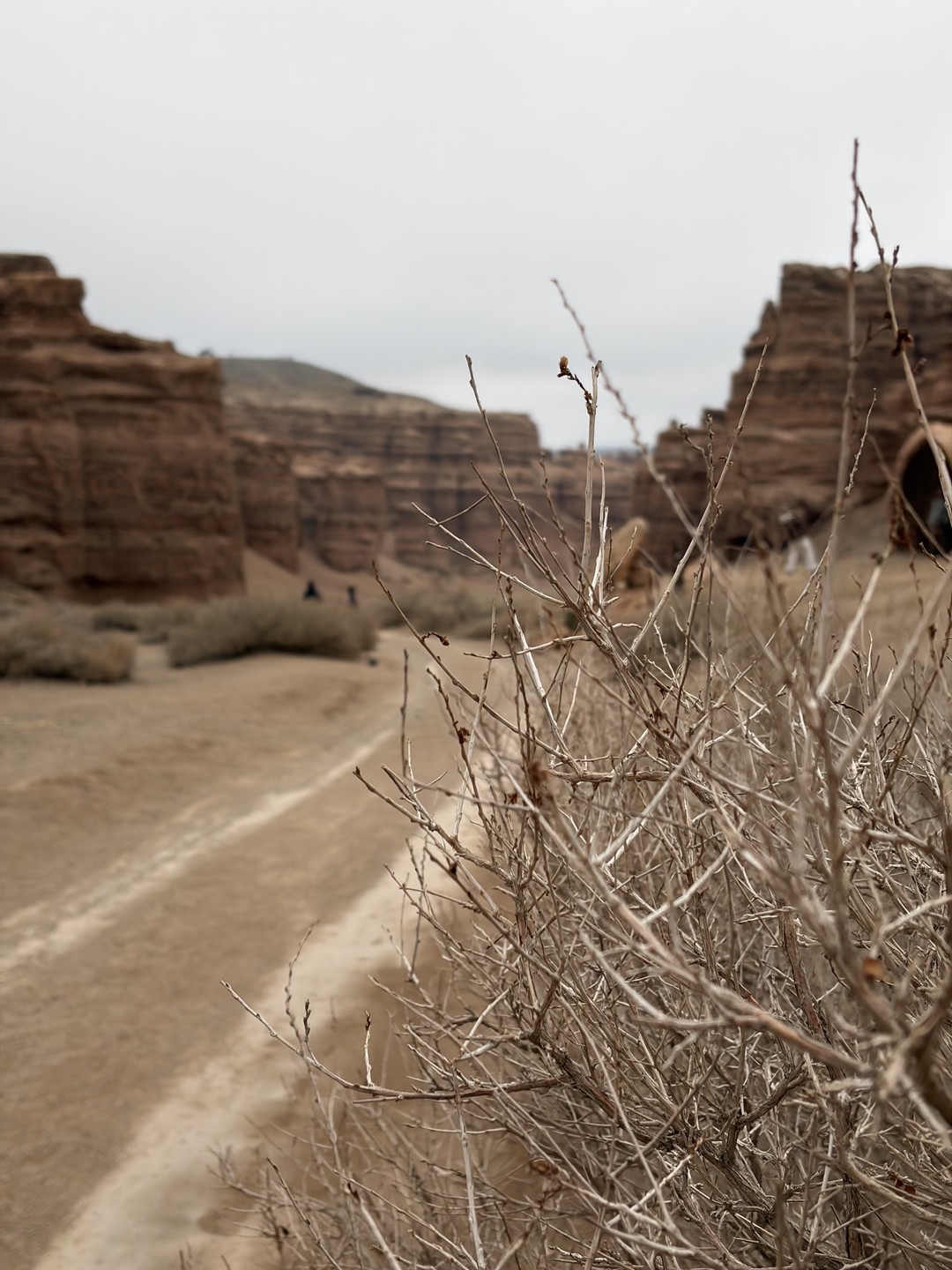 Отличная экскурсия, отличная организация, отличный гид!
