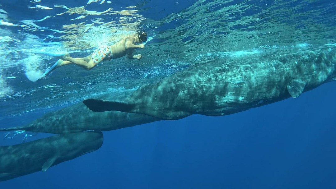Прекрасные впечатления на всю жизнь, спасибо организаторам!