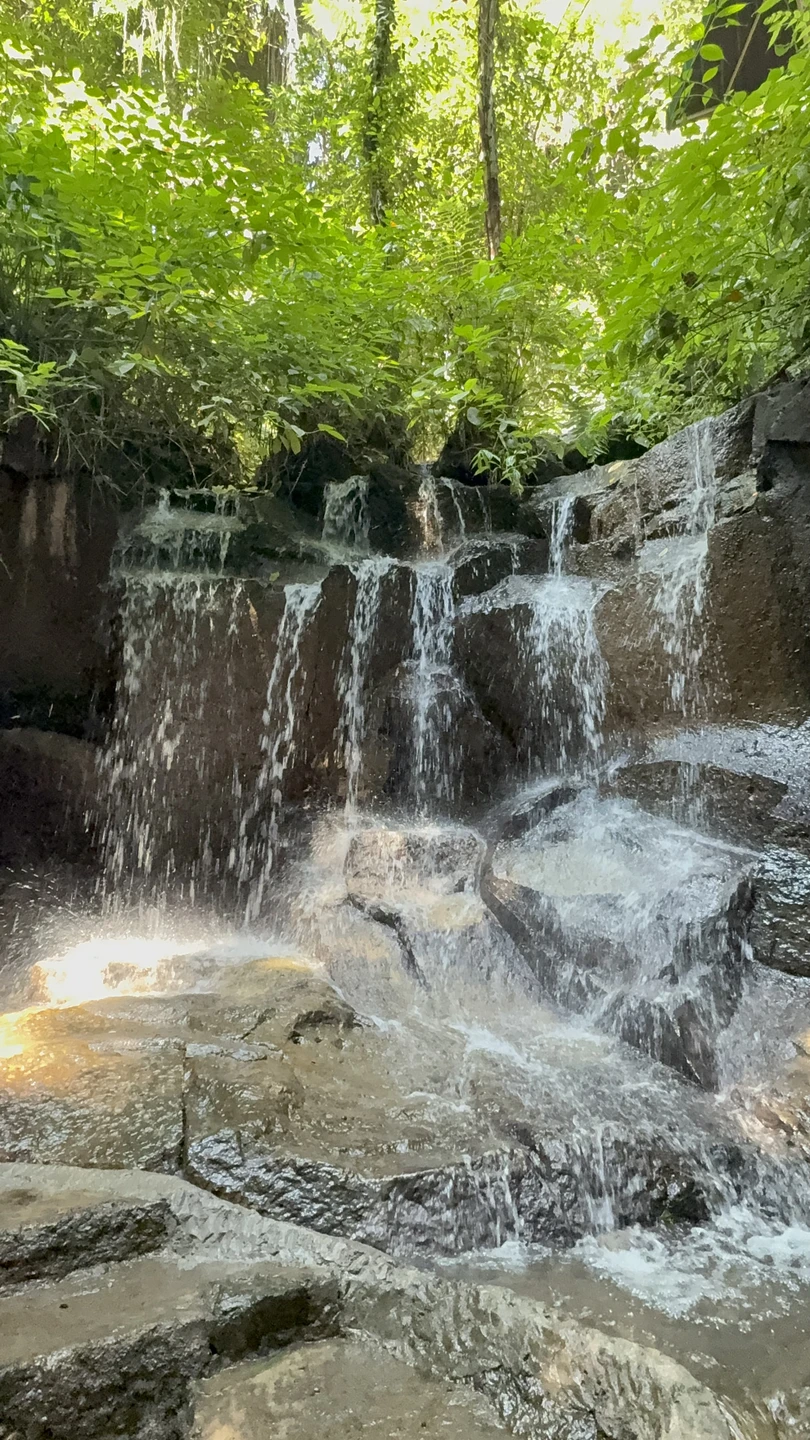 По нашей просьбе заменили храм Мангенинг на рисовые террасы. День пролетел быстро и очень интересно. Посетили