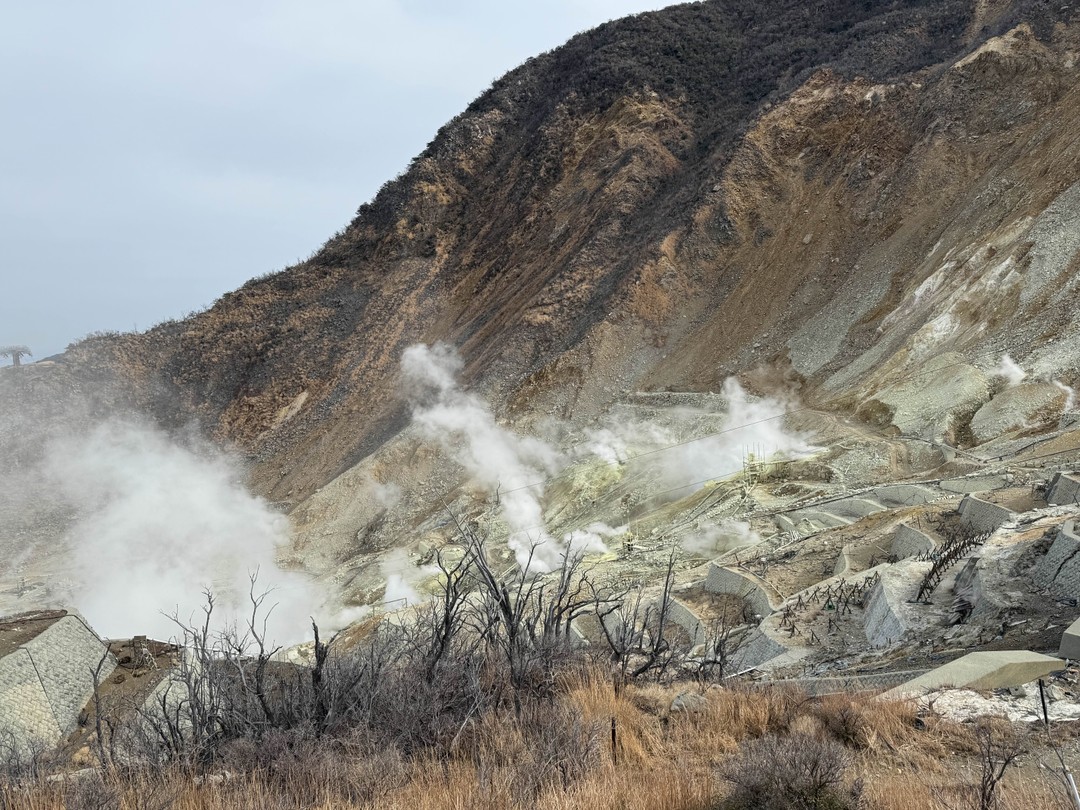 Потрясающий день! Отличная экскурсия! Организовано комфортно, очень увлекательно! Ни минуты не пожалели что решили поехать! Огромное спасибо!