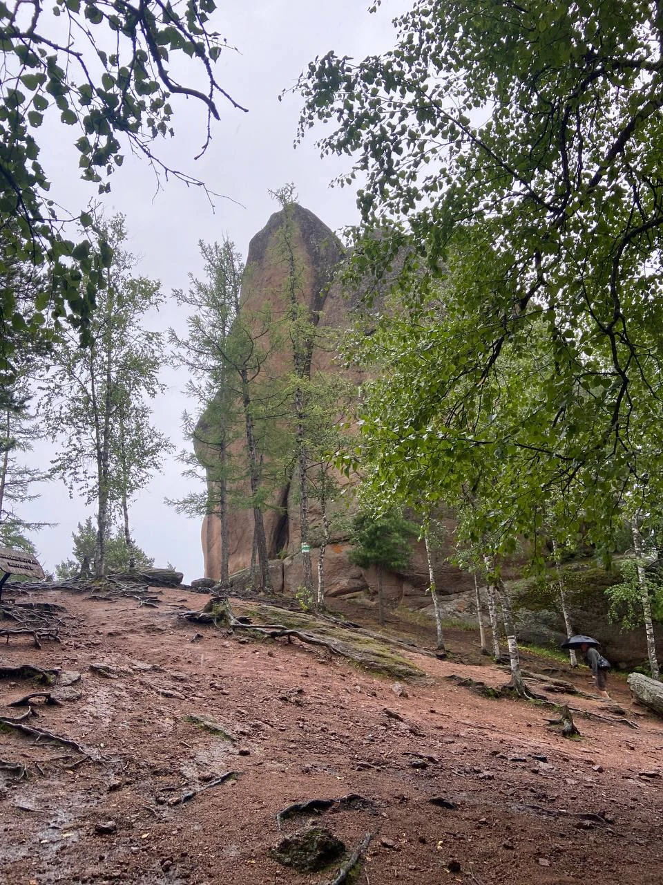 Красноярские Столбы - на один день в таёжную сказку (Семен)