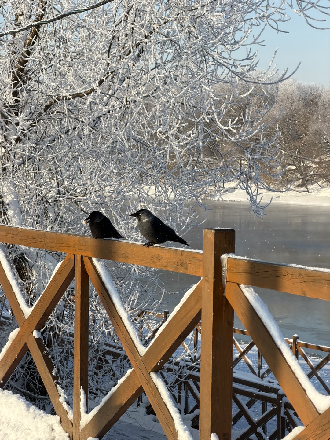 Был очень морозный день,Коломну припорошило снежком и сама прогулка была не столь долгой по нашему усмотрению,а