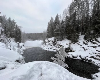 Заповедник «Кивач», вотчина Талви Укко, питомник хаски и оленей, интерактивная программа в музее