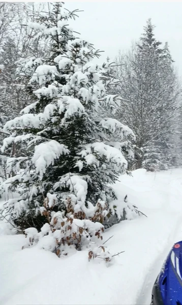 Экскурсия замечательная! Отличный минивэн, первоклассный водитель и супер-гид Джимми! Читала отзывы про него и попали к