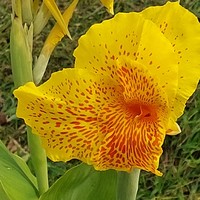 Фото отзыва 1: экскурсия ""