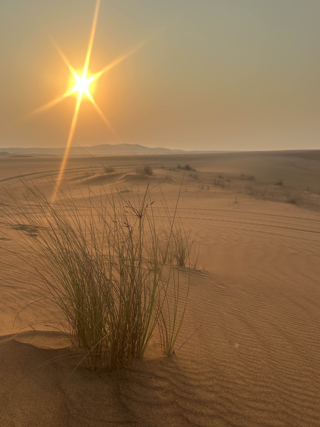 Все прошло по плану. Забрали из гостиницы в обещанное время. Красивейшая пустыня. Закат. Кофе, вода, финики. Сендборд.