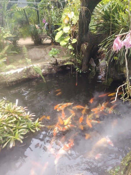 Сказать, что я чудесно провела день, это ничего не сказать. Я в полном восторге от экскурсии