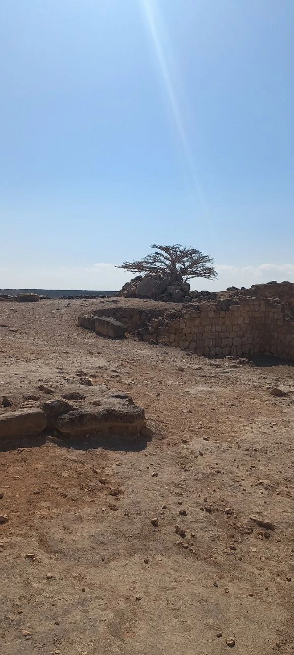 Посетили 14.01.26 экскурсию Восточная Салала с гидом Надеждой, было настолько комфортно, что мы совершенно не заметили