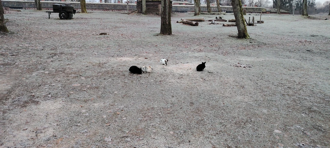 Очень понравилось. Гиды супер профессионалы. Рассказывают серьёзные вещи доступным языком. С юмором местами. Всем советую, но закладывает 4 часа