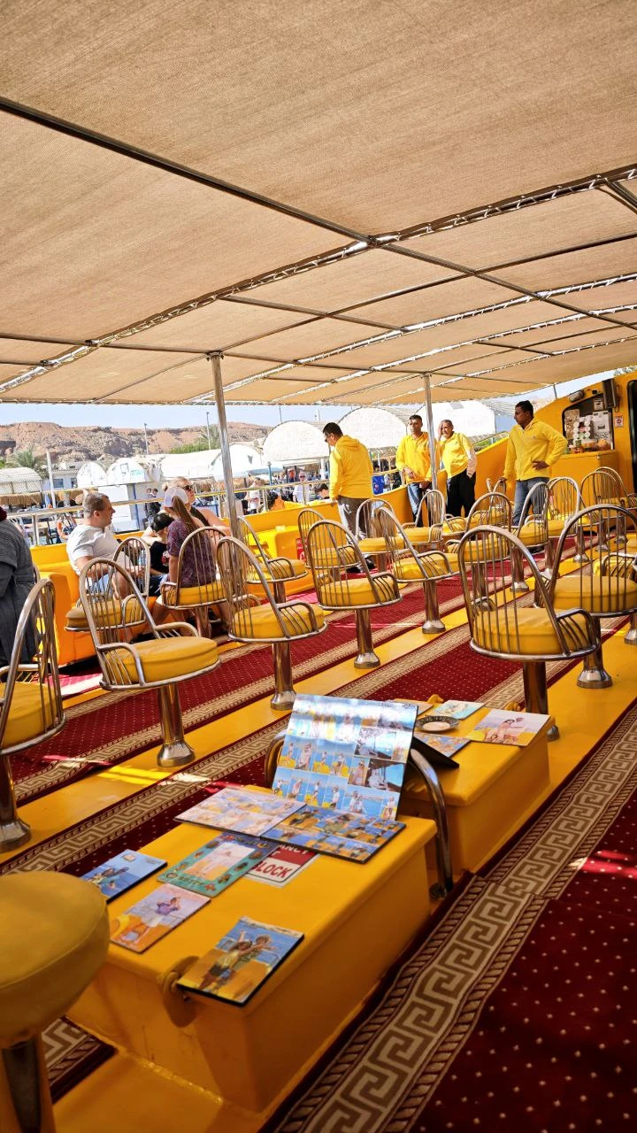 Очень удобный индивидуальный трансфер из отеля - прислали фото машины и были на связи пока мы