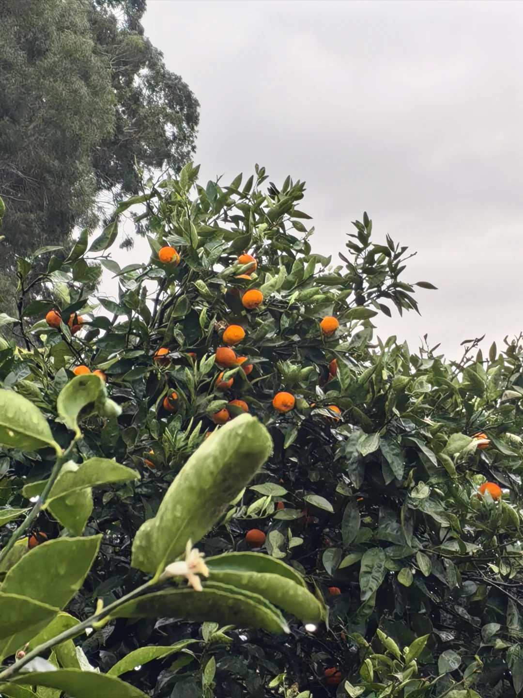 Всё было великолепно! От организации до информативности