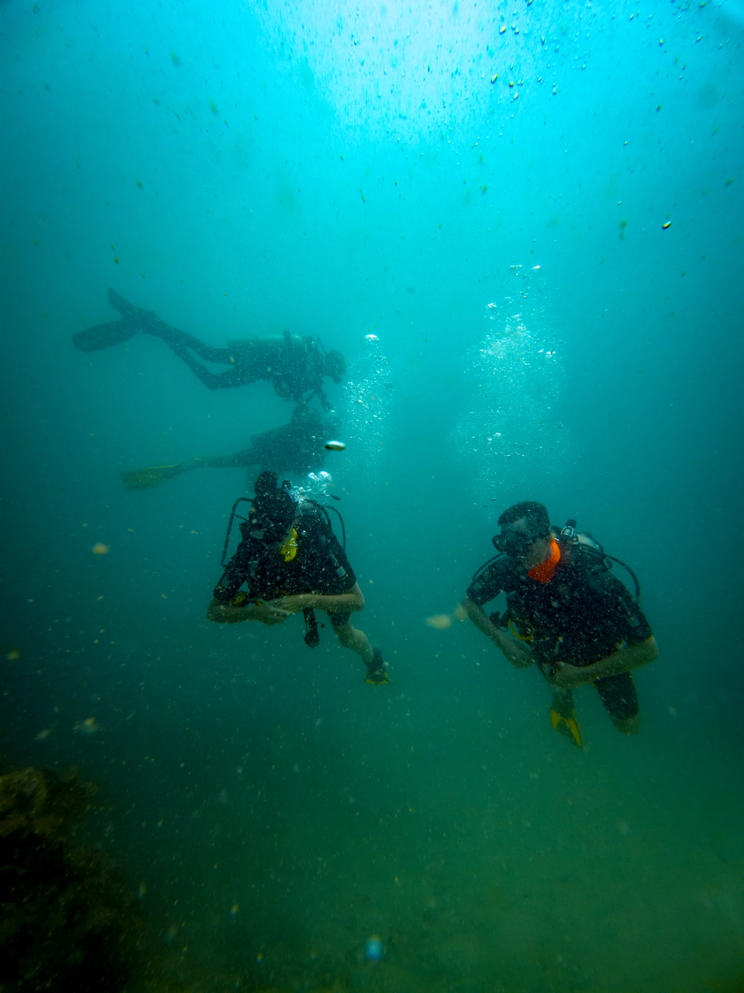 Мы были на дайвинге на острове Фукуок, и это был отличный опыт