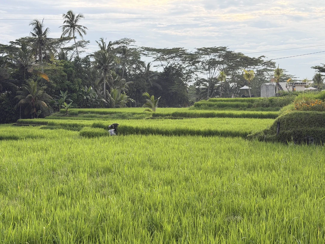 Отличная экскурсия! Гид говорит по-русски, помогает, фотографирует, откликается на все просьбы. Мы очень довольны! По деньгам