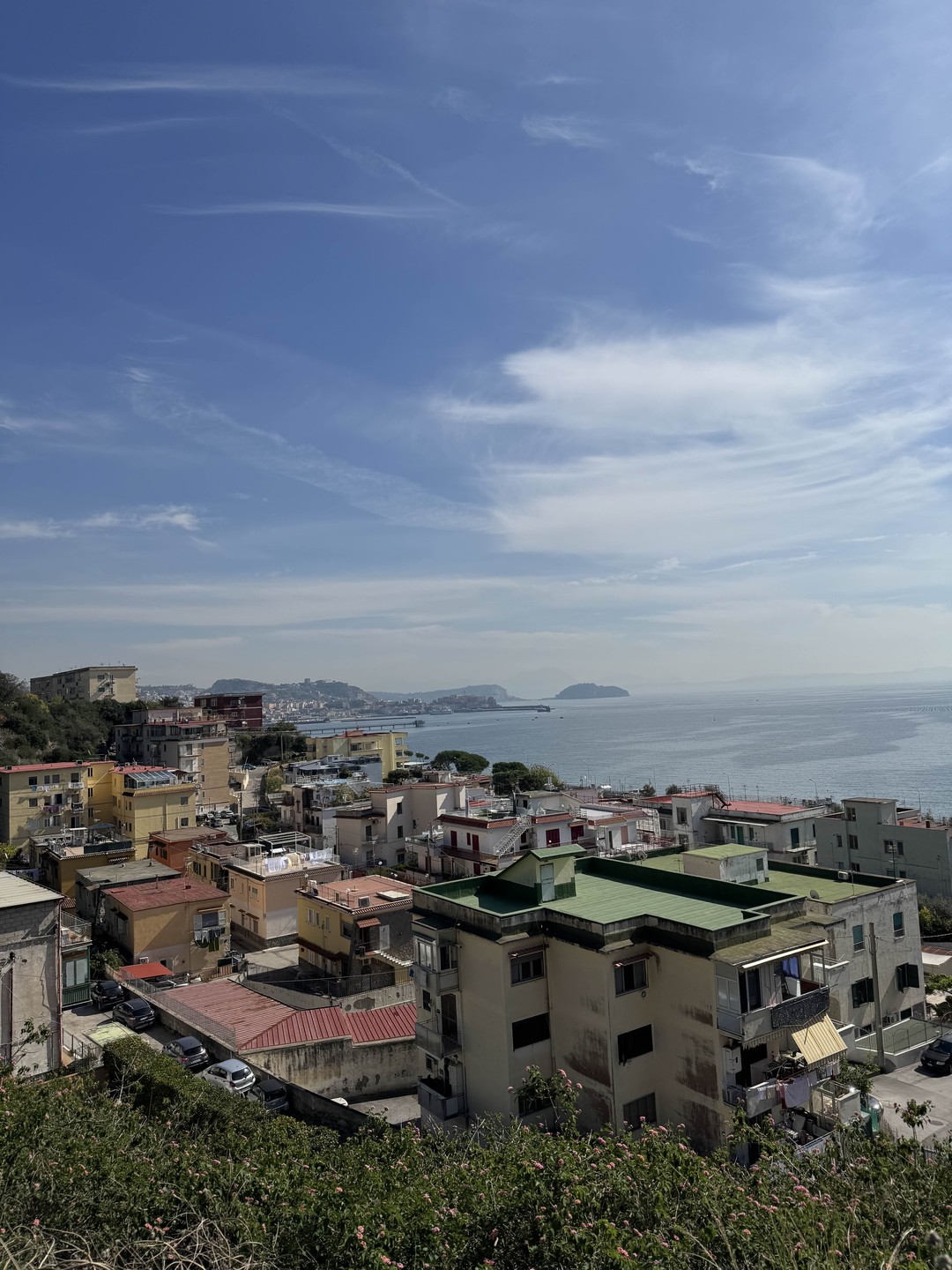 Друзья! Если вам нравятся атмосферные экскурсии, природа, животные и виды, то вам нужно взять тур у