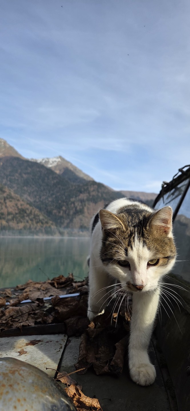 Добрый день! Ездили с гидом Славиком в Апсны - Страну Души. Повезло с погодой и с