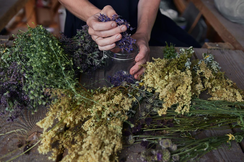 Травы в жизни сибиряка