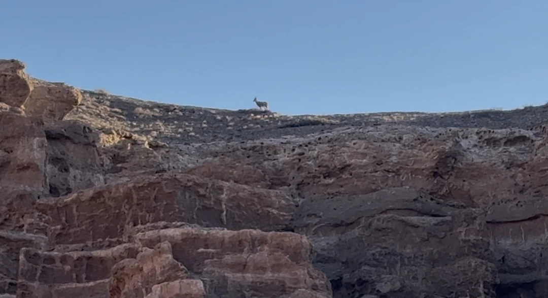 Это мой второй тур по данному маршруту и опять от Tripster! Так как первый раз очень