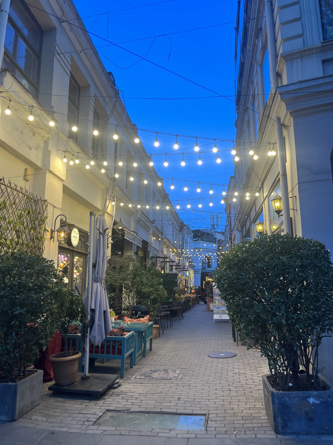 Гид Карина замечательная!