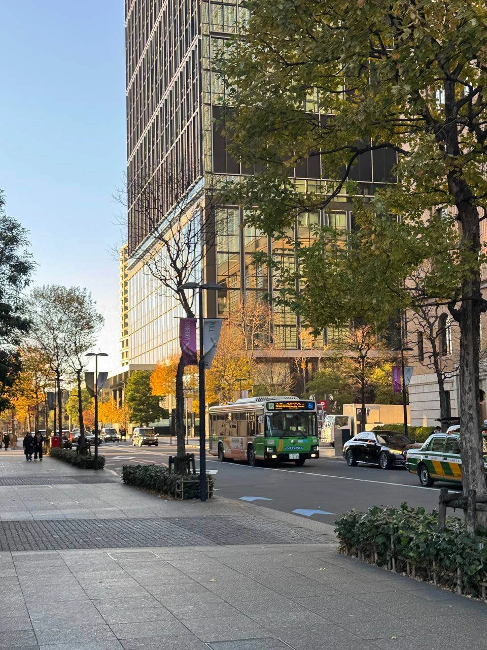 Настоятельно рекомендую данную экскурсию к посещению всем, кто впервые в Токио. Это просто палочка выручалочка для