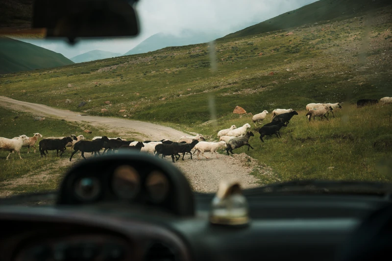 Та самая дорога в Джилы-Су: водопады и Эльбрус