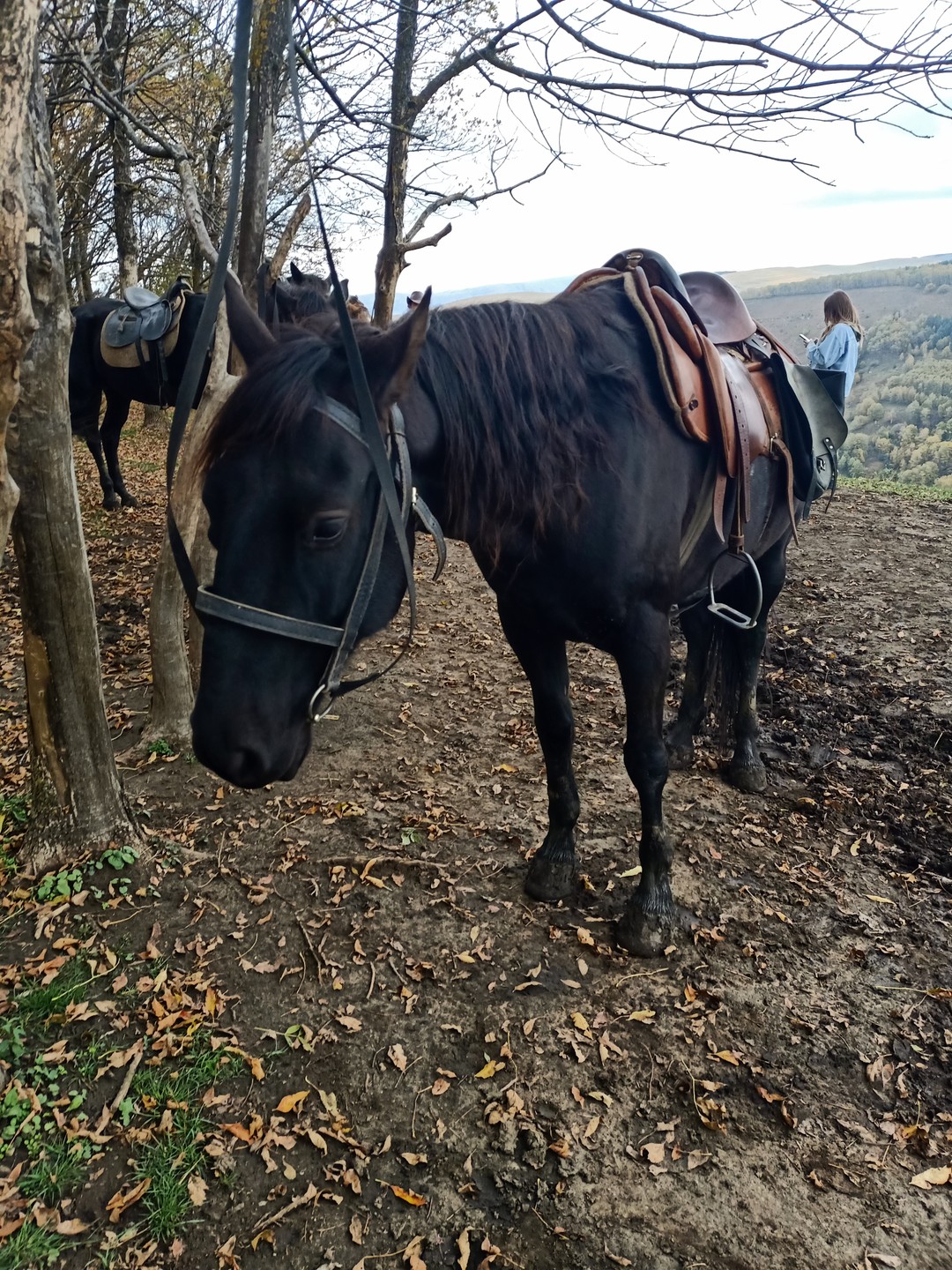 Групповая конная прогулка над Берёзовским ущельем (Владимир)