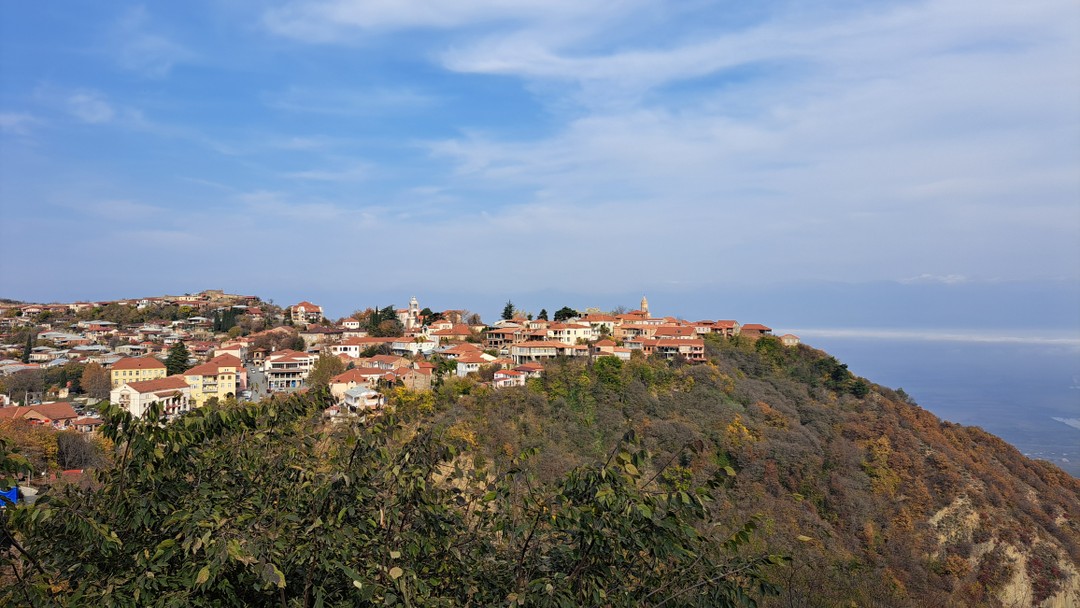 Из Тбилиси в Кахетию - в объятиях родины вина (Анна)