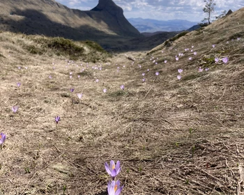 Национальный парк «Дурмитор»