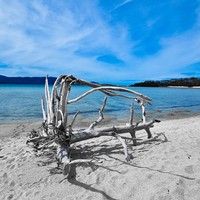 Фото отзыва 3: экскурсия "Индивидуальная морская прогулка со снорклингом и остановкой на Pig Island"
