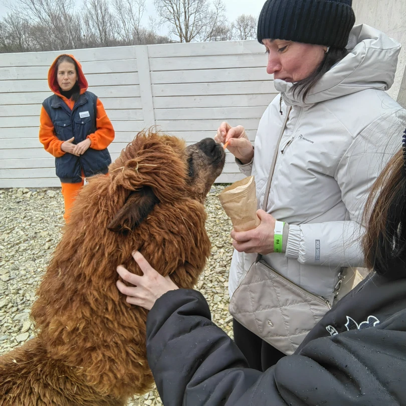 Очень познавательная и интересная экскурсия, большое спасибо гиду