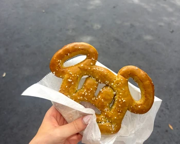 На весь день в Диснейленд