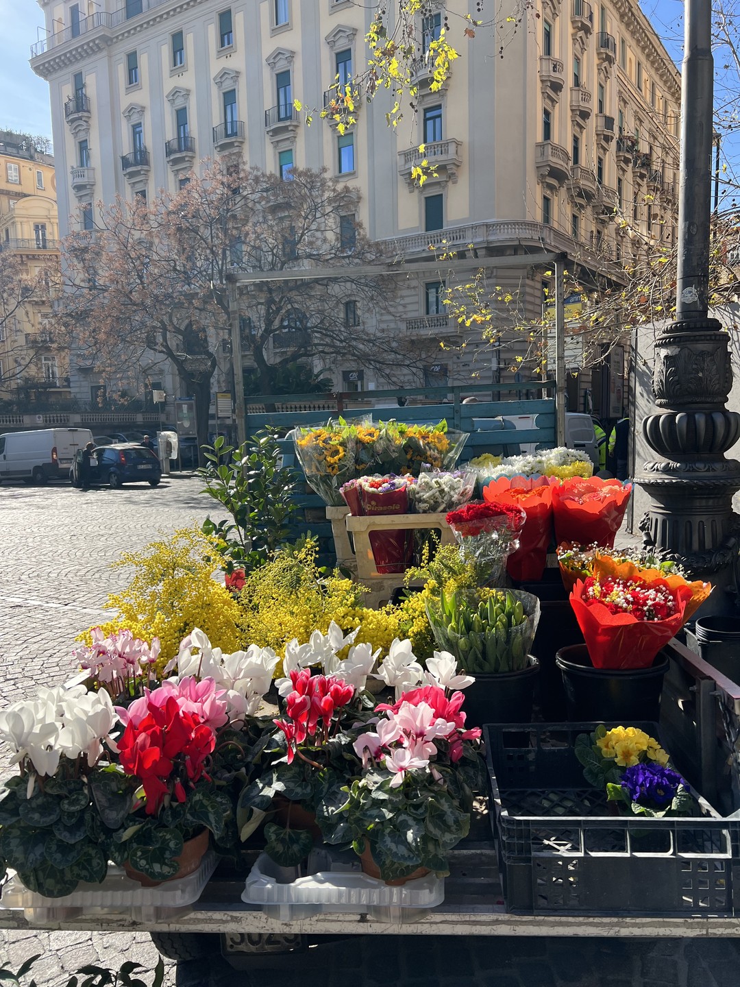 Очень приятно прогулялись и вкусно поели с Екатериной 😍