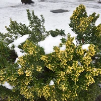 Фото отзыва 1: экскурсия "Вршац: старинные винарии, история и культура"