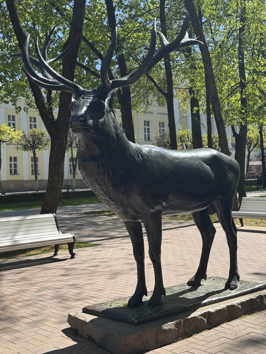 Интересная экскурсия по городу с богатейшей историей от увлеченного, знающего и влюбленного в свой город человека