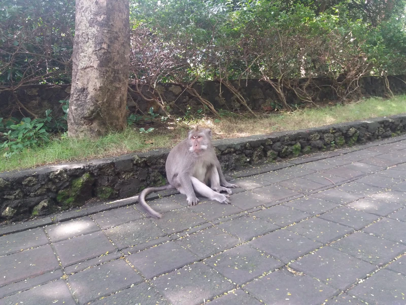 Бали - первое свидание
