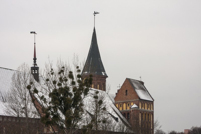 Фото 5 - По Калининграду на автобусе + органный концерт в Кафедральном соборе