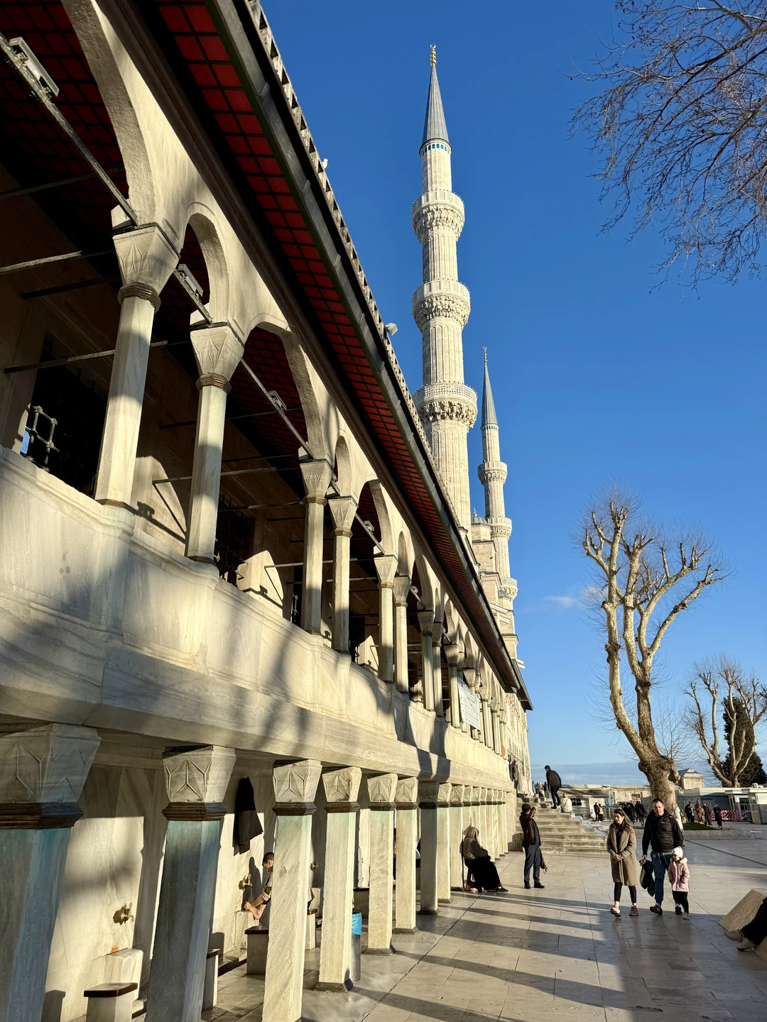 Экскурсия была увлекательной: с интересом прогулялись по главным достопримечательностям Стамбула. Рекомендую для первого знакомства с городом!