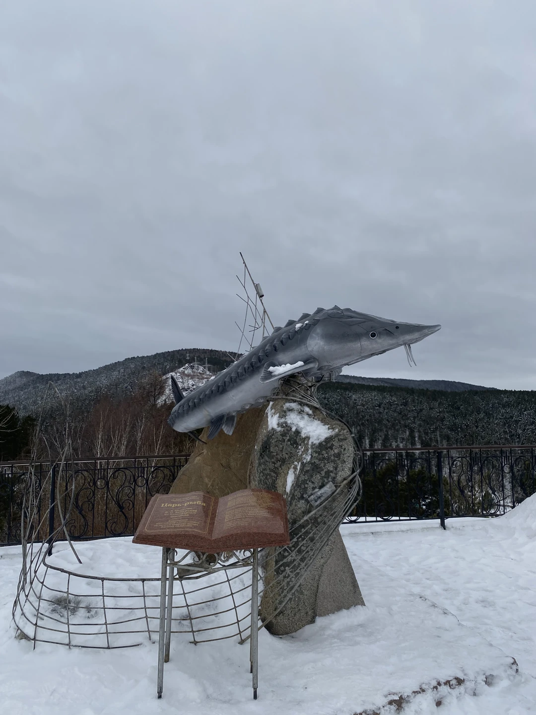 Мне очень понравилась экскурсия по Красноярску, мы не смогли заехать на статую Иисуса, но посетили Дивногорск,