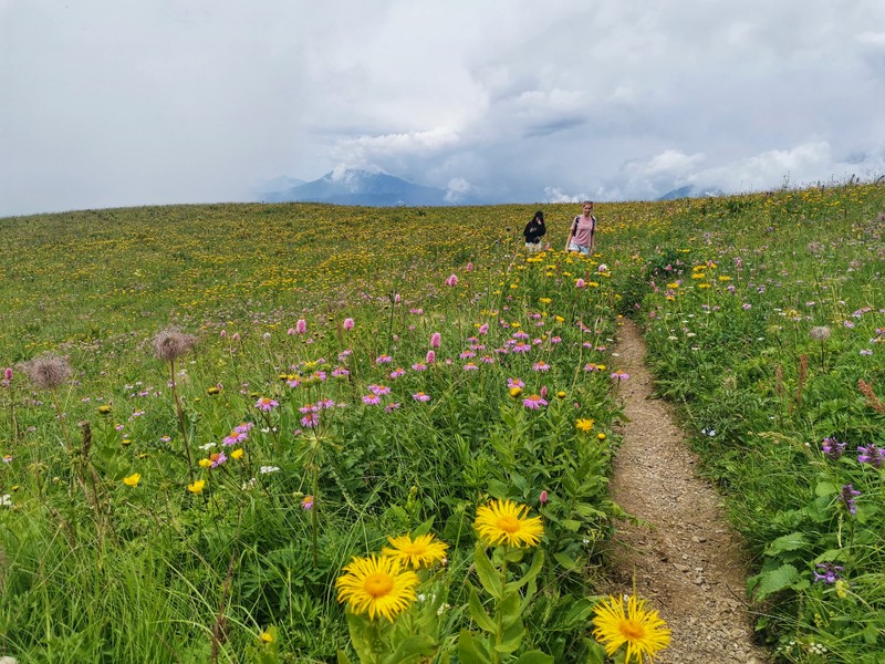 Фото отзыва 3: экскурсия "В горы — с историком-культурологом: через альпийские луга на Бзерпинский карниз"