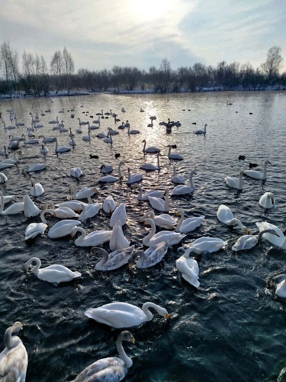 Отличная экскурсия, очень удобная машина, интересный маршрут. Было интересно посмотреть красивые улочки купеческого Бийска. Наблюдать за