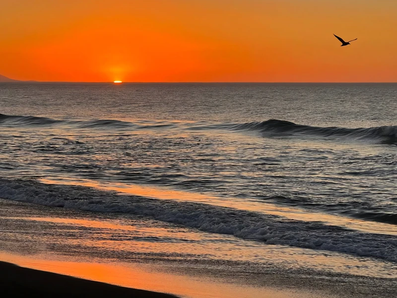 От вулканов до океана: день приключений на Камчатке