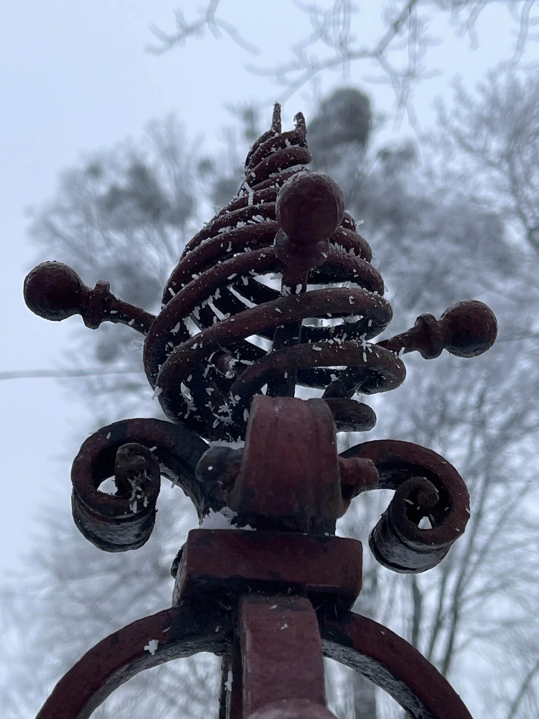 Красивая жизнь по-кёнигсбергски: район Амалиенау (Екатерина)