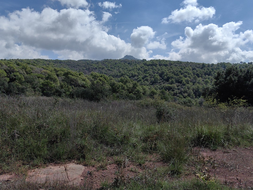 Спасибо большое за прекрасный день! Очень интересный рассказ об истории, природе, жизни в Каталонии и особенностях