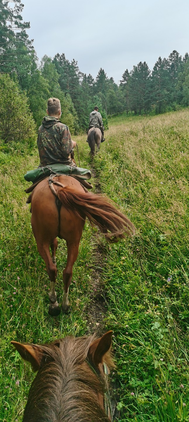 Спасибо огромное организаторам и заводчикам ❤️ Ольга встретила, приехали раньше назначенного времени, но нас не заставили